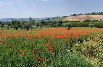 appartamento in contesto esclusivo in pieno centro - Foto 25