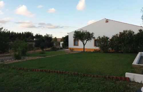 Corvos e Cadavais - Foto 23