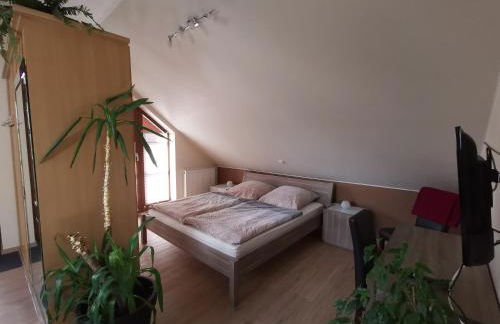 Studio und Apartment auf dem Pferdehof - Foto 11