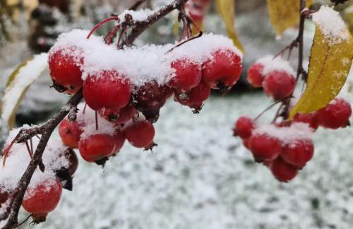 Gästehaus zum Rosengarten - Photo 78