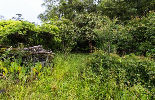 Casa da Mãe - Entre o Pico e a Maré - Photo 55