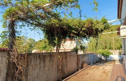 Finca La Senorita - Foto 61