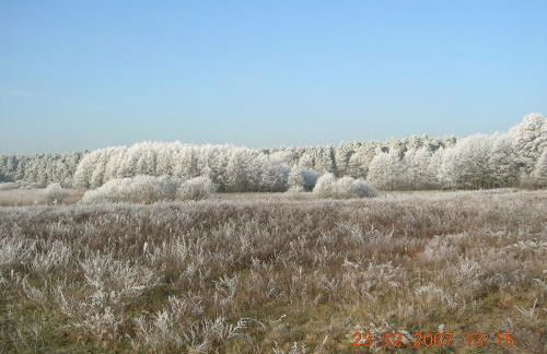 Kranichnest - Foto 15