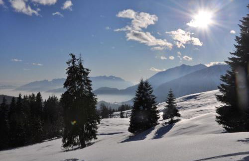 Casa "Berto e Costantina" - Photo 36
