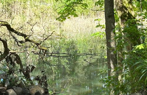 Bungalow Biberspur - Foto 29