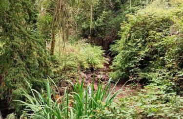 The Mill House - Photo 22