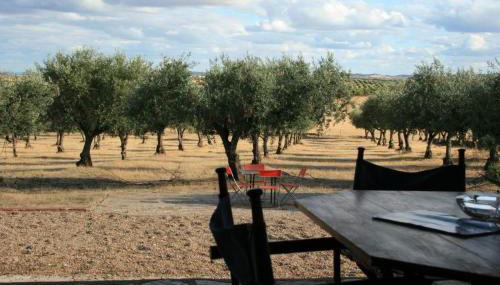 Herdade do Monte Outeiro - Turismo Rural - Foto 4