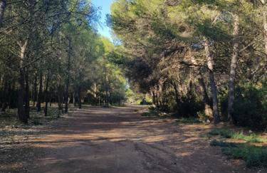 La Galiote, T2 vue port, terrasse et parking - Foto 39