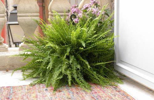 La Terrasse du Marché aux Fleurs - Foto 26