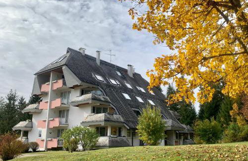 Studio Hase Saig - Photo 62