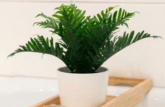 I Innenstadt I King-Size-Bett I - Foto 13