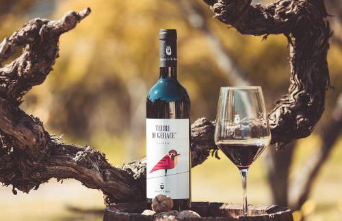 Barone GR Macrì Agriturismo Modi - Foto 70