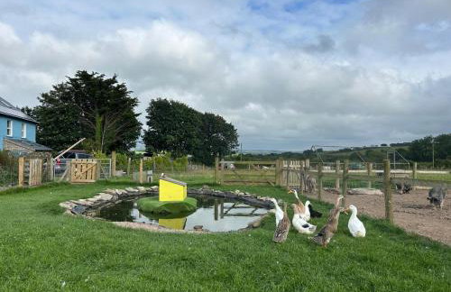 Hele Bay Cottage - Foto 49