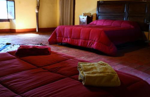 La Giuncaia - Photo 47