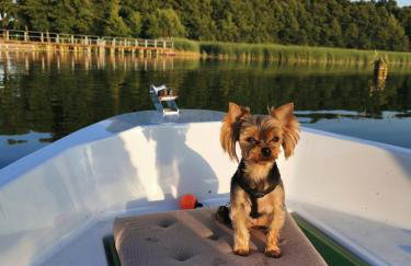 PLAŻOWY ZAKĄTEK - Foto 78