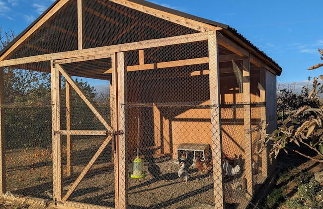 Casa Hostalets - In the Middle of the Olive Trees - Foto 26