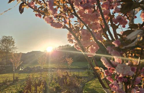 Lawendowy Raj - Foto 50