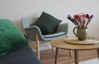 Panorama Apart Fichtelberg - Foto 21