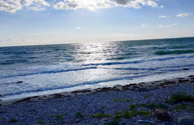 Simplistic Holiday Home in GÃ¸rlev near Sea - Photo 32