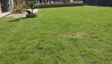 Maison du petit p(a)in - Foto 2, Garden view