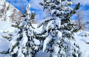 Isola 2000 appartement au pied des pistes wi-fi - Photo 23