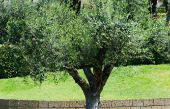 San Bartolomeo LT - Foto 57