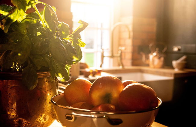 The Forest at Mount Congreve Gardens - Foto 64