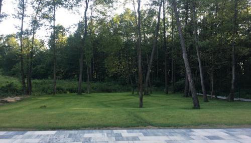 Dom w głębi lasu - Foto 4, Garden, Garden view