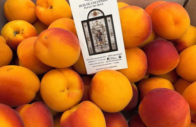 Hotel Colvenier - Foto 55