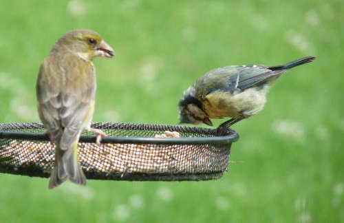 Gilberts End Farm - Foto 21