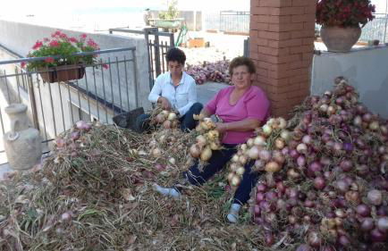 Agriturismo Gli Antichi Sapori - con stazione di ricarica veicoli elettrici - Foto 28