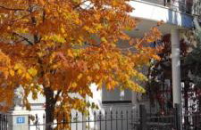 Casablanca Orestiada - Foto 15