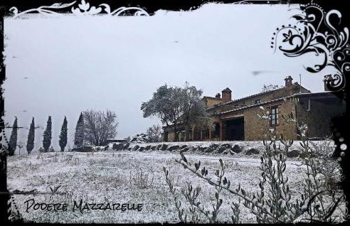 Podere Mazzarelle - Foto 25