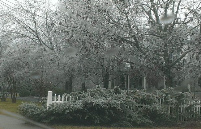 7 Bedroom Manor near Appomattox & Lynchburg - Photo 37