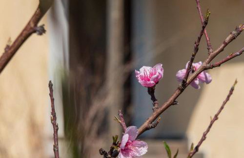 Nitsa House - Foto 42