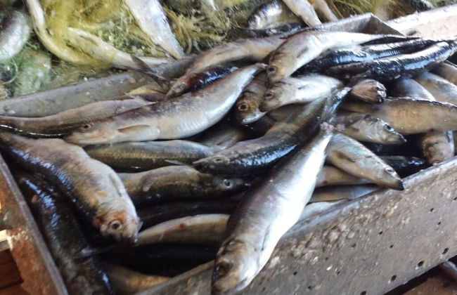 to the Beach Comfortable Holiday Residence - Foto 8