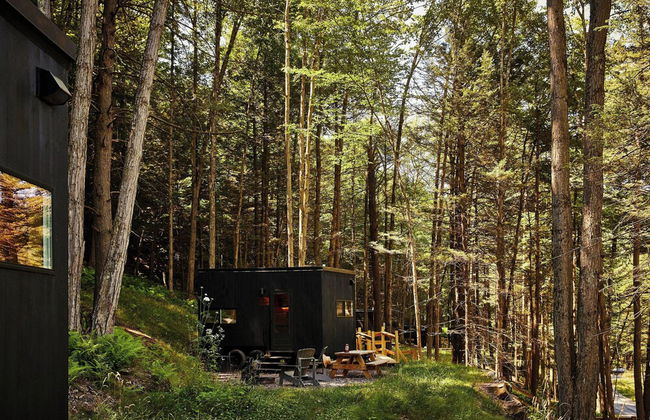 Postcard Cabins The Thumb, Outdoor Collection by Marriott Bonvoy - Photo 41