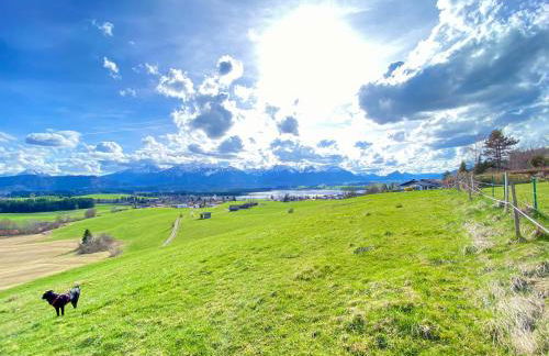 Best Butler Lovebirds I Küche I Parken I Bergblick I Seenähe - Photo 11