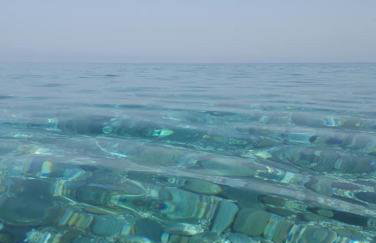 Sun Senses beach front villa with private beach - Photo 70