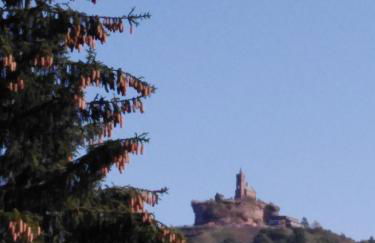 Le Gite Du Bucheron - Photo 6