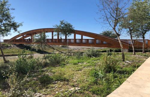 El Balcón de Rosita - Photo 38