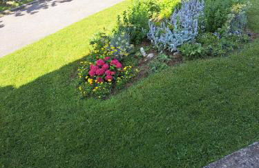 Guesthouse Zafran - Foto 12