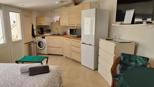 Petite étoile de Mer - Studio hyper équipé à 150m d'une plage de sable fin grande terrasse presqu'île de charme - Photo 2, stove, dishwasher, toaster, minibar