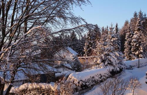 Deine-Eifel-Ferienwohnung - Foto 54