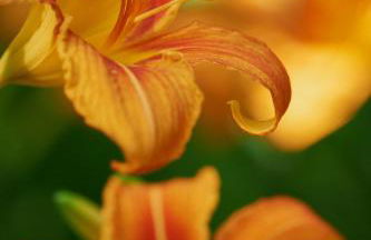 Apartamentos Fonda Finet - Foto 69