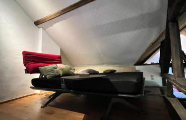 Noah - Seeleben auf Zeit am Rursee - Foto 41