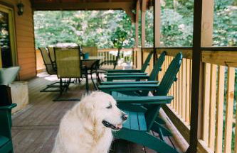 Creekside Oasis! - Foto 13