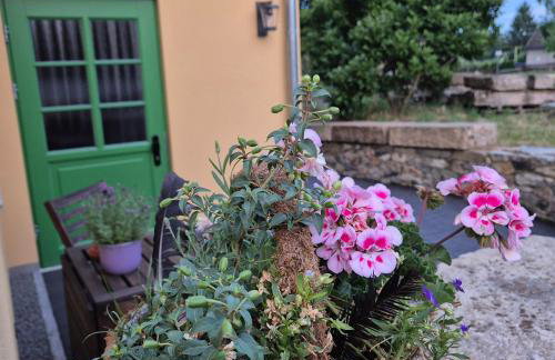 Ferienwohnung Lausche - Photo 15