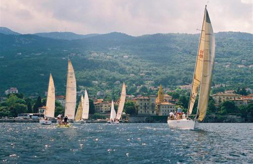 Apartman Halugica - Photo 16