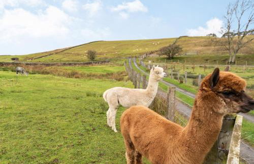 Ferny Rigg Byre - Uk3326 - Foto 21